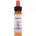 Healing Herbs Aspen | Grocsy