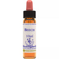 Healing Herbs Beech | Grocsy