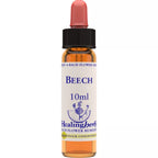 Healing Herbs Beech | Grocsy