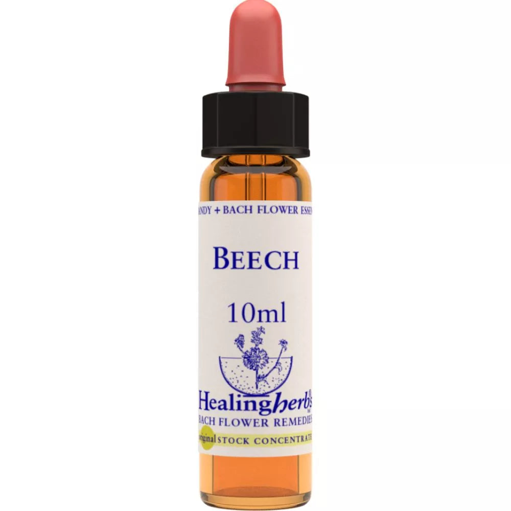 Healing Herbs Beech | Grocsy