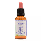 Healing Herbs Beech | Grocsy