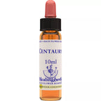 Healing Herbs Centauryd | Grocsy