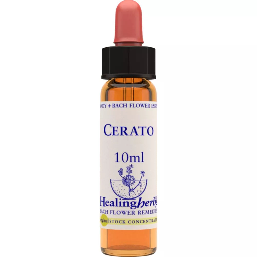 Healing Herbs Cerato | Grocsy