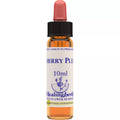 Healing Herbs Cherry Plum | Grocsy