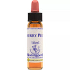 Healing Herbs Cherry Plum | Grocsy