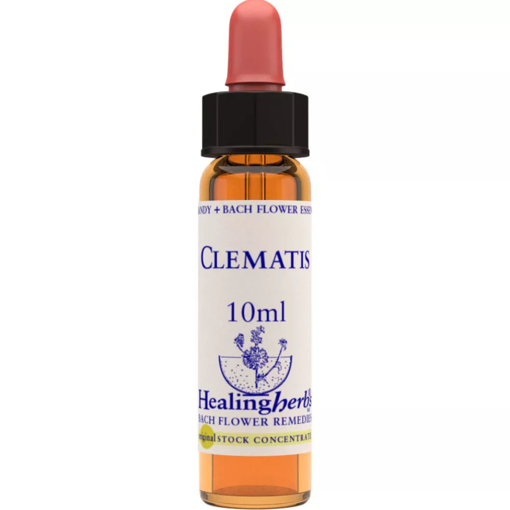 Healing Herbs Clematis | Grocsy