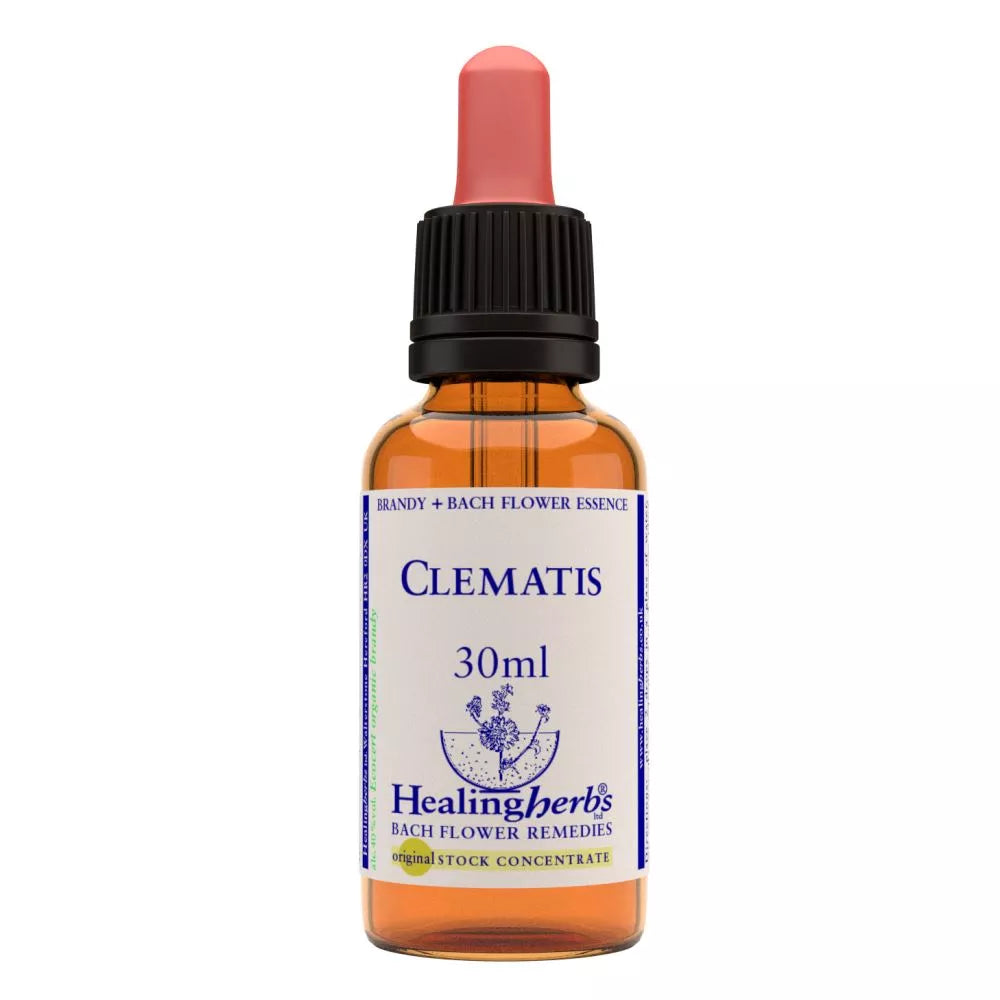 Healing Herbs Clematis | Grocsy