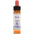 Healing Herbs ELM | Grocsy