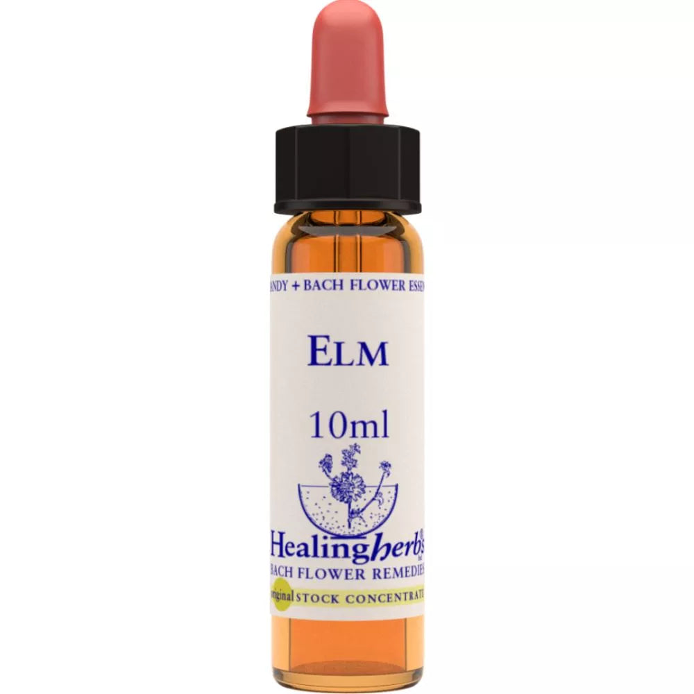 Healing Herbs ELM | Grocsy