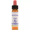 Healing Herbs Gentian | Grocsy