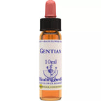 Healing Herbs Gentian | Grocsy