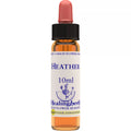 Healing Herbs Heather | Grocsy