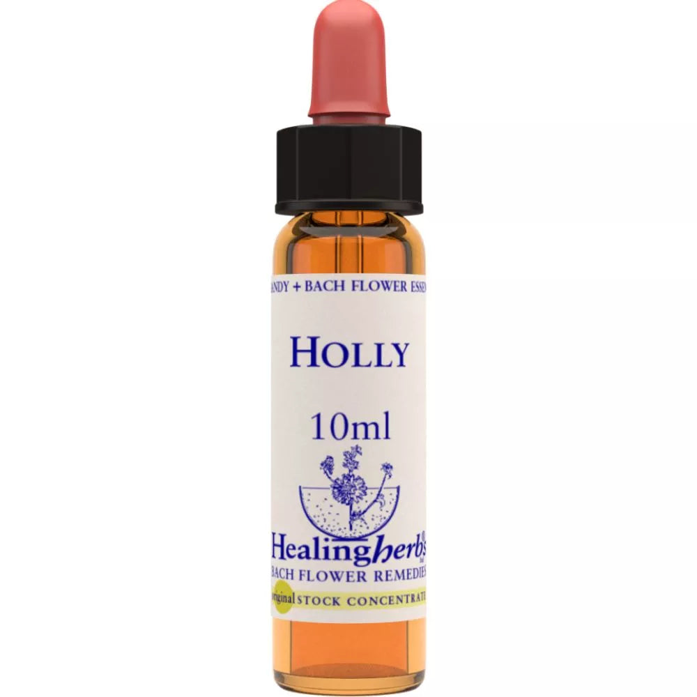 Healing Herbs Holly | Grocsy