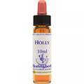 Healing Herbs Holly | Grocsy