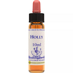 Healing Herbs Holly | Grocsy