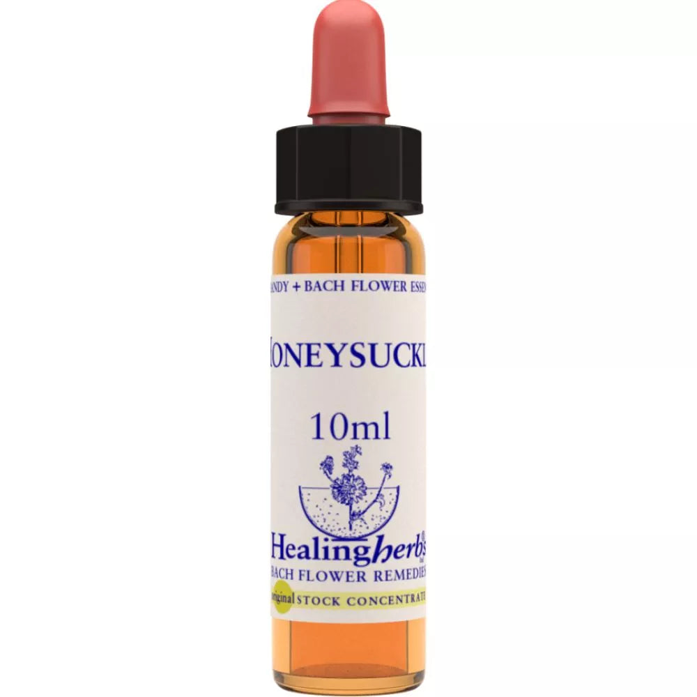 Healing Herbs Honeysuckle | Grocsy