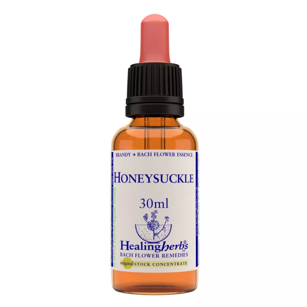 Healing Herbs Honeysuckle | Grocsy