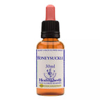 Healing Herbs Honeysuckle | Grocsy