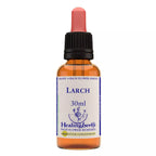 Healing Herbs Larch | Grocsy
