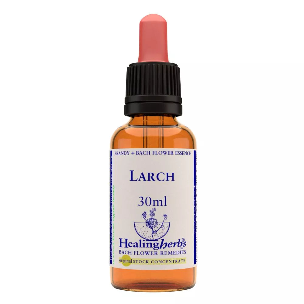 Healing Herbs Larch | Grocsy