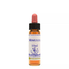 Healing Herbs Mimulus | Grocsy