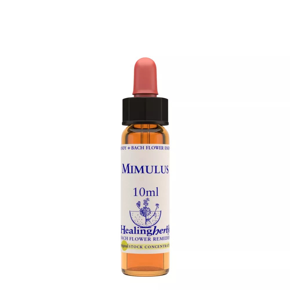 Healing Herbs Mimulus | Grocsy