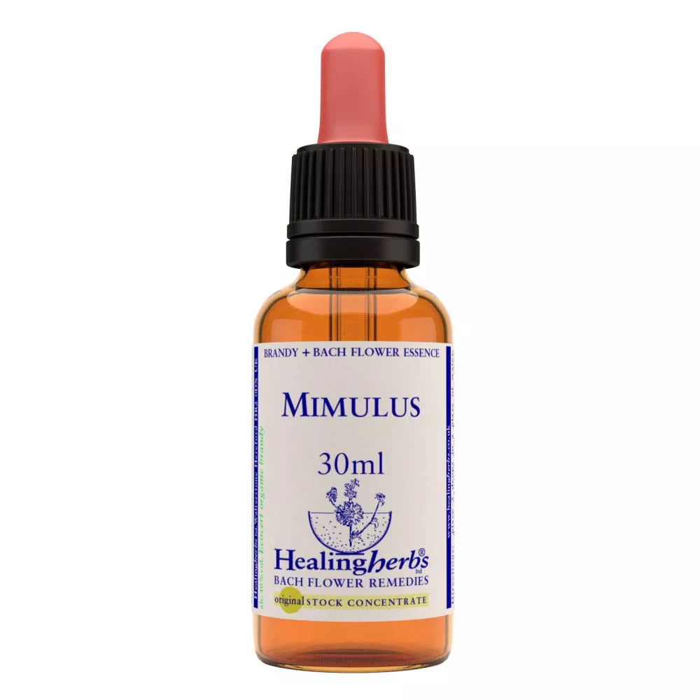 Healing Herbs Mimulus | Grocsy