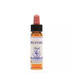 Healing Herbs Mustard | Grocsy