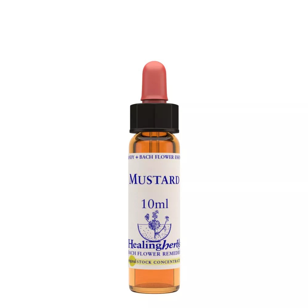 Healing Herbs Mustard | Grocsy