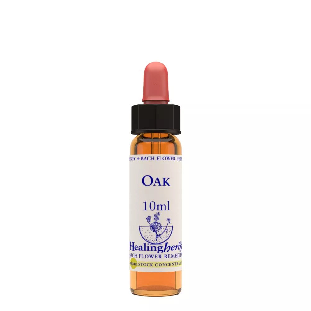 Healing Herbs Oak | Grocsy