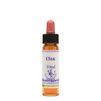 Healing Herbs Oak | Grocsy