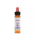 Healing Herbs Olive | Grocsy