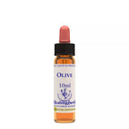 Healing Herbs Olive | Grocsy