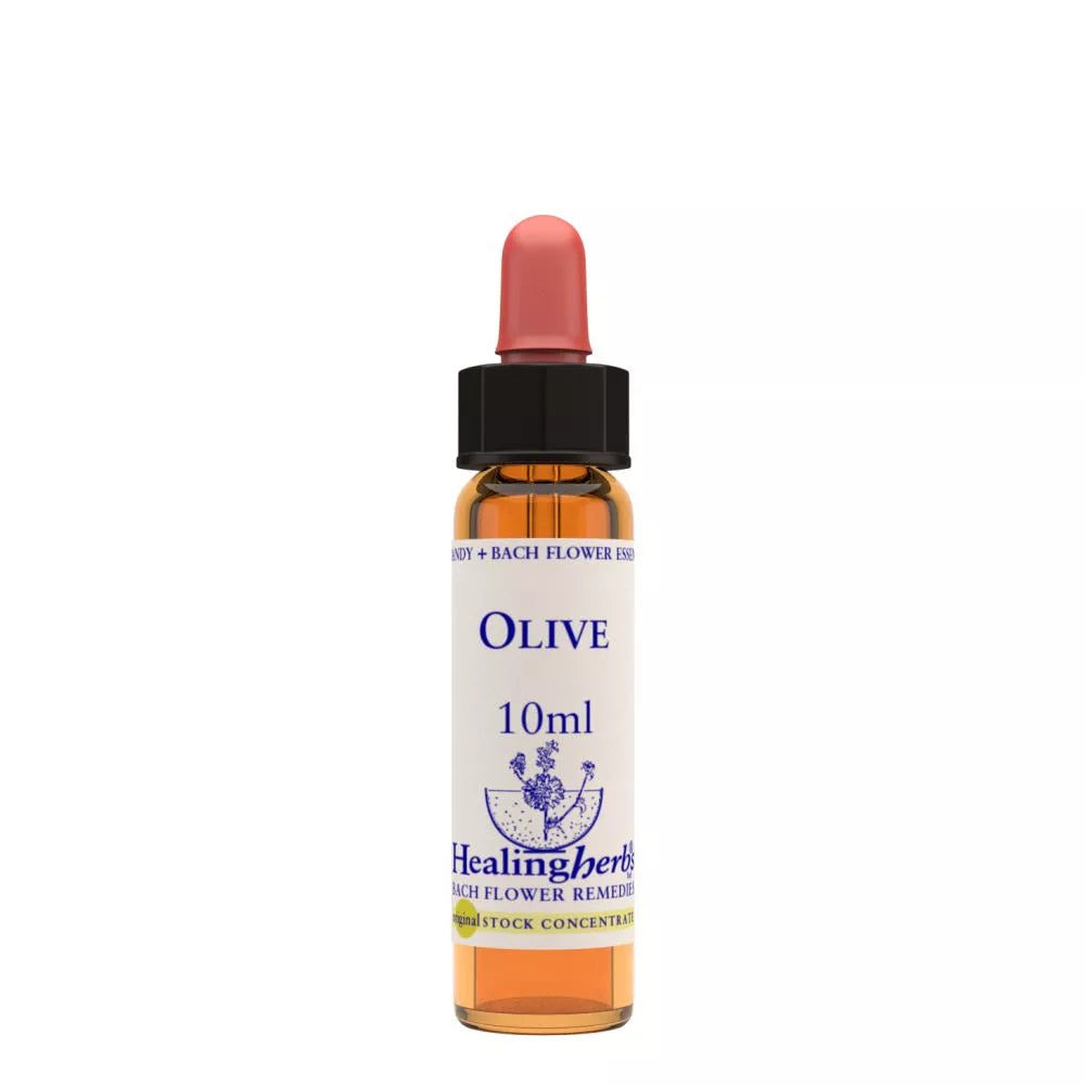 Healing Herbs Olive | Grocsy