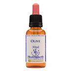 Healing Herbs Olive | Grocsy