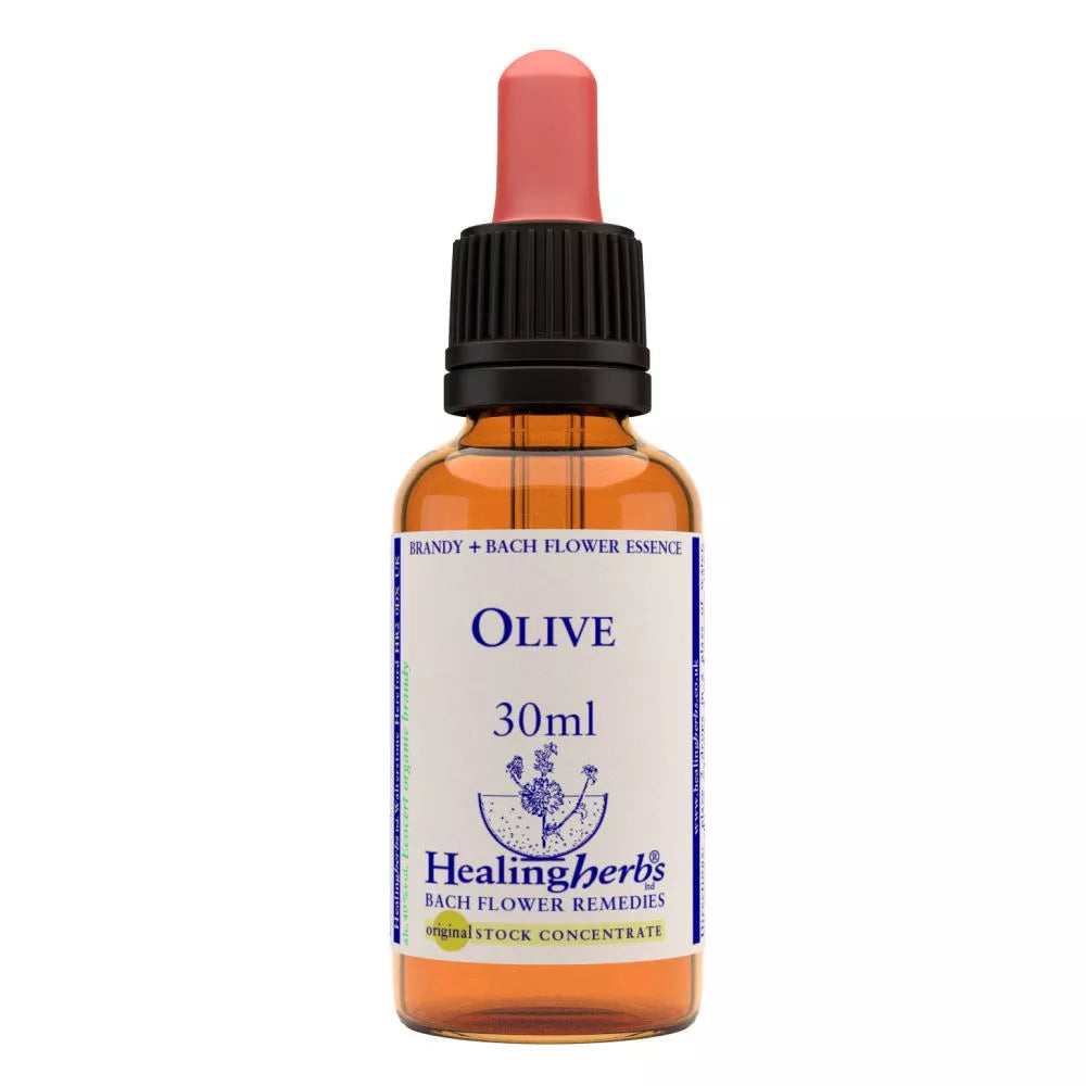 Healing Herbs Olive | Grocsy