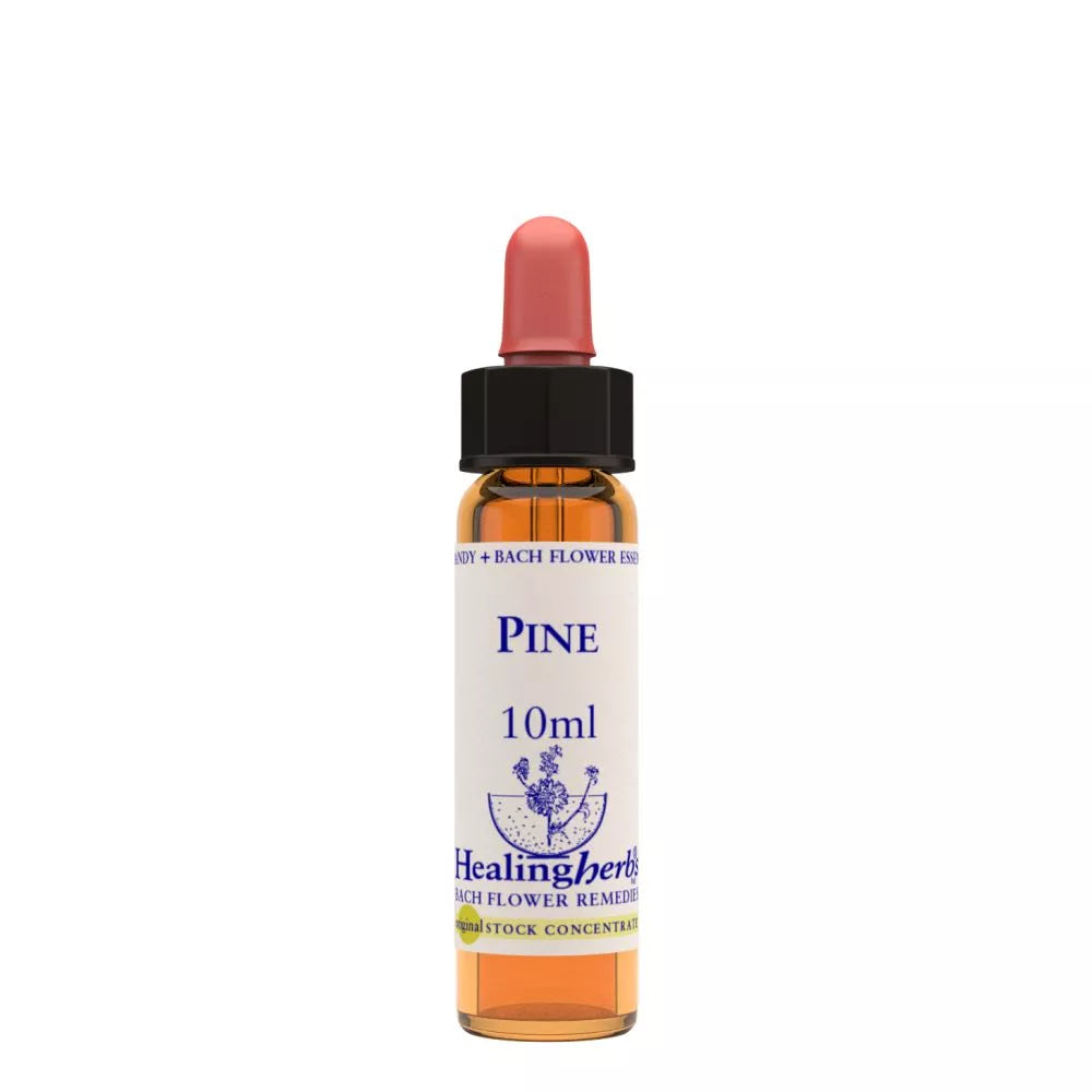 Healing Herbs Pine | Grocsy