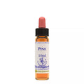 Healing Herbs Pine | Grocsy