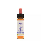 Healing Herbs Pine | Grocsy