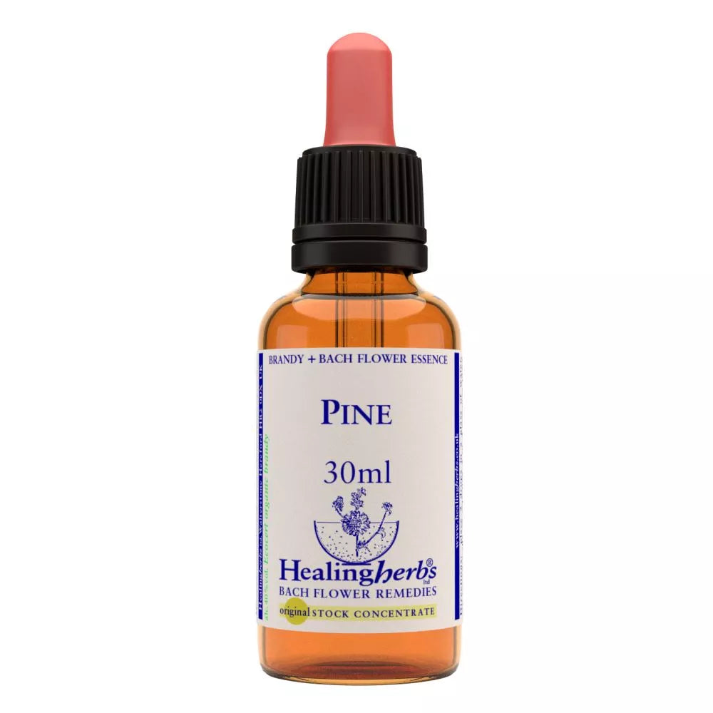 Healing Herbs Pine | Grocsy