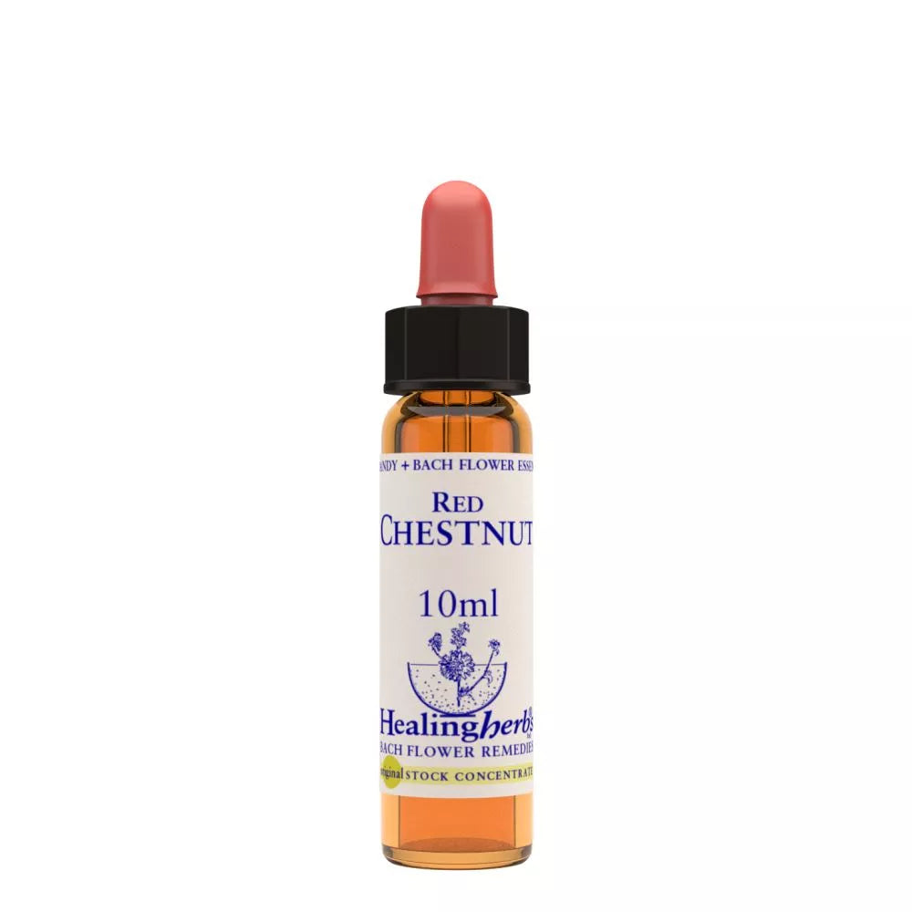 Healing Herbs Red Chestnut | Grocsy