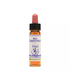 Healing Herbs Red Chestnut | Grocsy