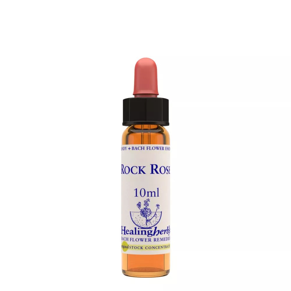 Healing Herbs Rock Rose | Grocsy
