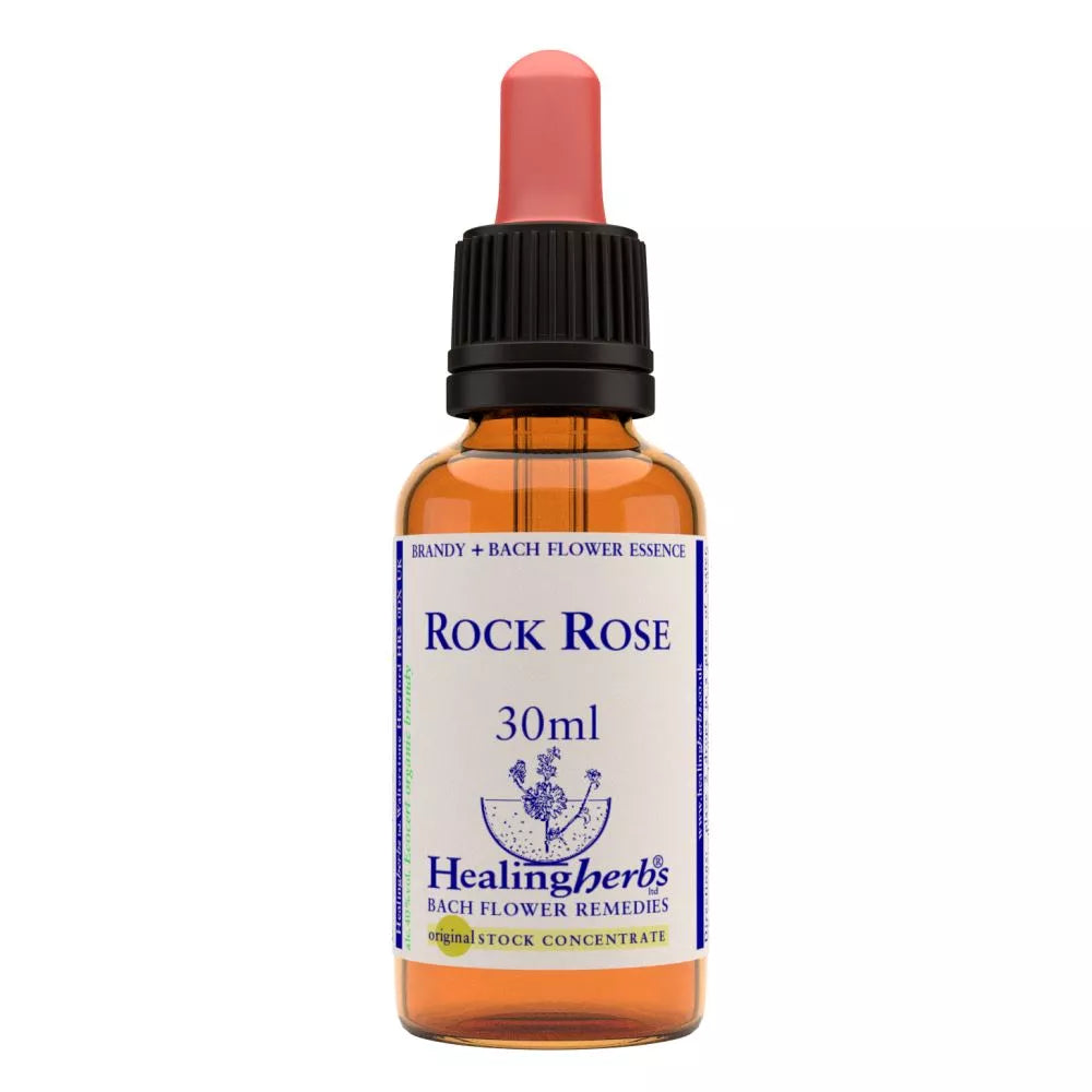 Healing Herbs Rock Rose | Grocsy