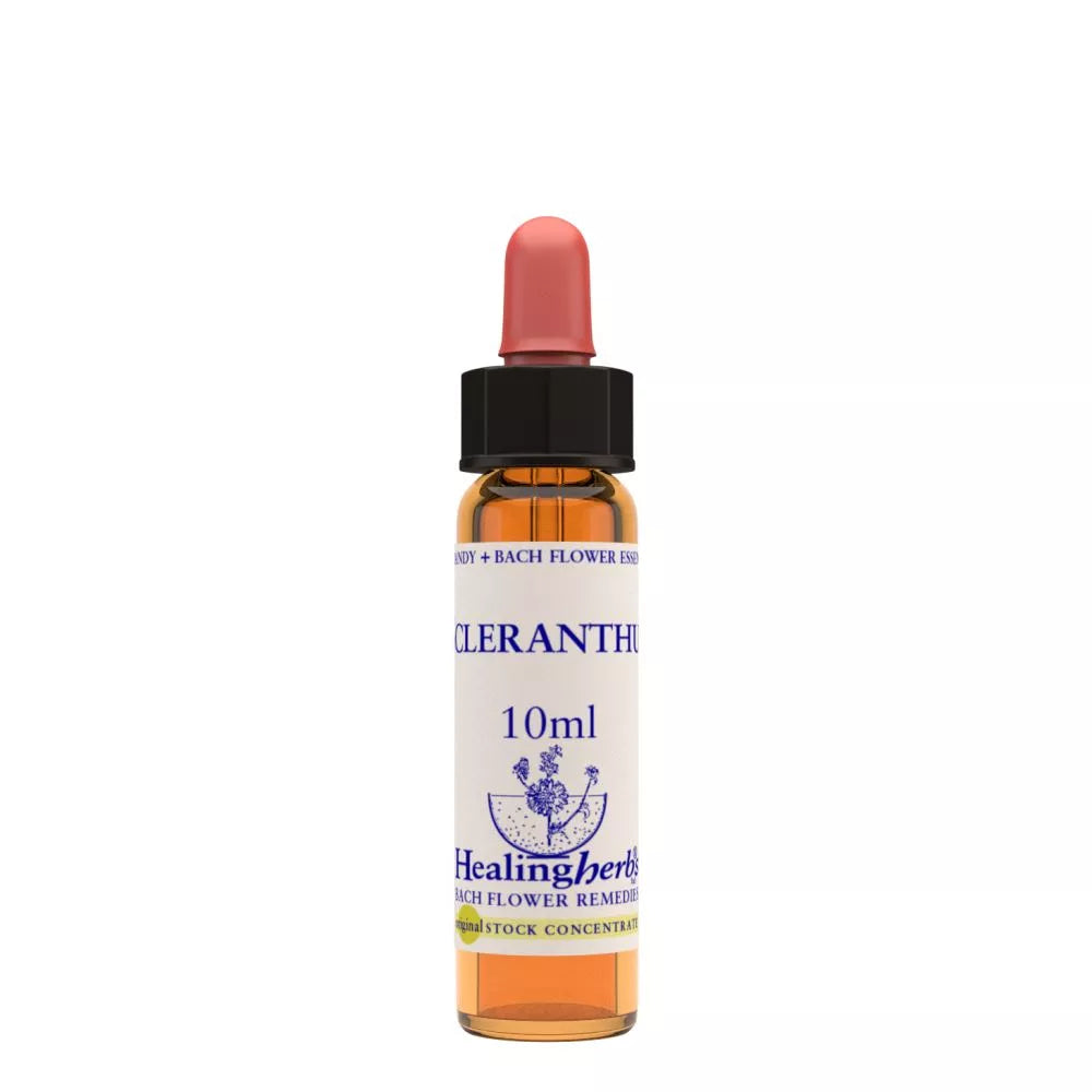 Healing Herbs Scleranthus | Grocsy