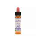 Healing Herbs Scleranthus | Grocsy