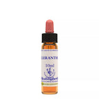 Healing Herbs Scleranthus | Grocsy