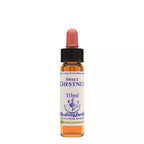 Healing Herbs Sweet Chestnut | Grocsy