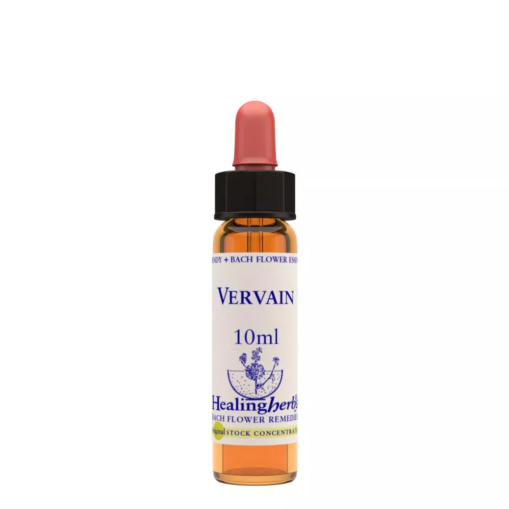 Healing Herbs Vervain | Grocsy