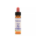 Healing Herbs Vervain | Grocsy